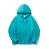 蒂芙尼蓝1 Bnew favorite hoodie 3352