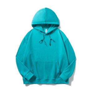 premium hoodie 6241